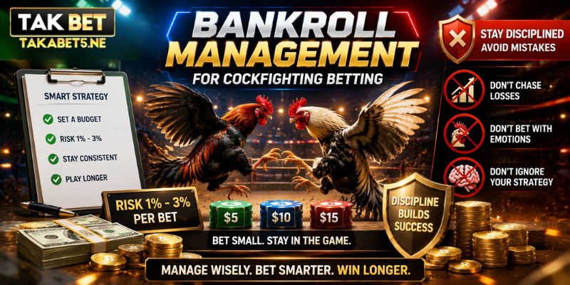 Bankroll Management for Cockfighting Betting
